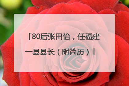 80后张田怡，任福建一县县长（附简历）