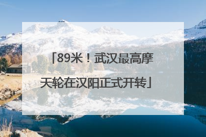 89米！武汉最高摩天轮在汉阳正式开转