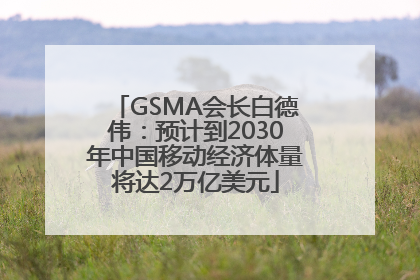 GSMA会长白德伟：预计到2030年中国移动经济体量将达2万亿美元