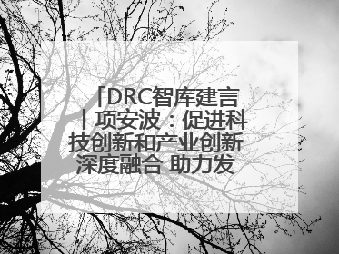 DRC智库建言丨项安波：促进科技创新和产业创新深度融合 助力发展新质生产力
