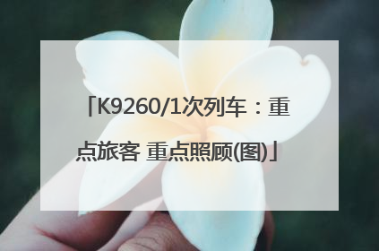 K9260/1次列车：重点旅客 重点照顾(图)